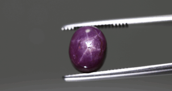 Natural star ruby stone cabochon 5.44 ct with vivid red color and visible star effect gemstone